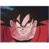 10.gif