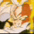 aim5.gif